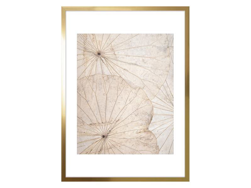 Obraz Nature No.2 50x70 cm