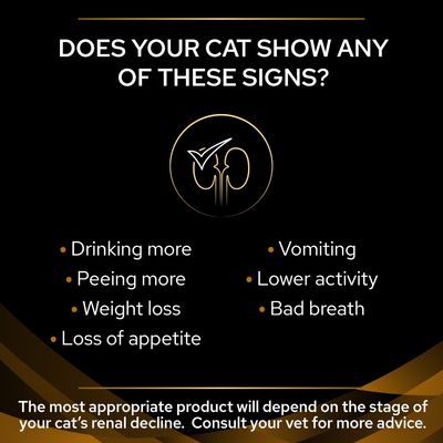 PURINA PRO PLAN Veterinary Diets Feline NF Renal Function - Laks