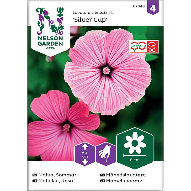 Semillas de jardín Nelson Mensual Lavandula Silver Cup, rosa