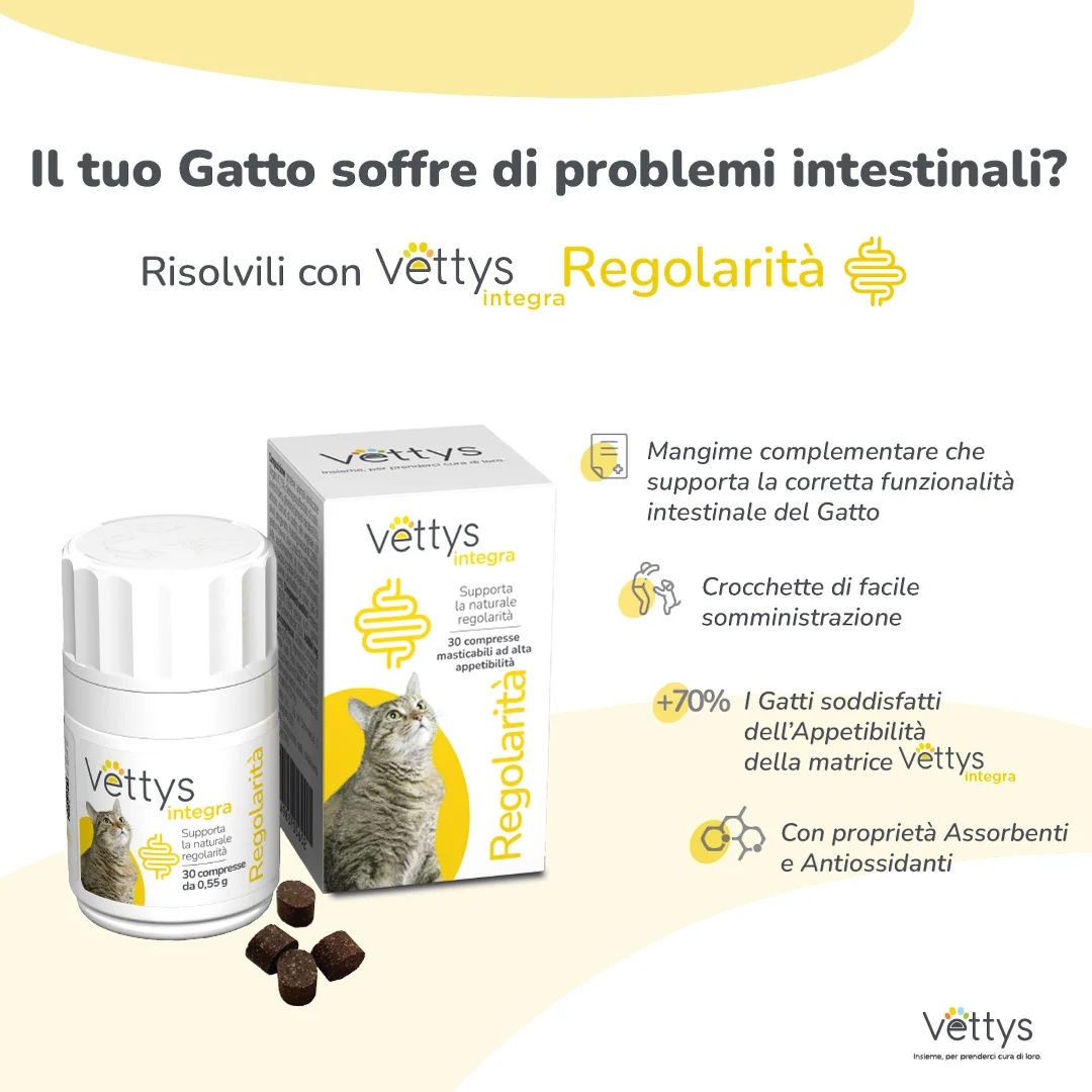 VETTYS Vettys Integra Regularity Cat 30 tabletten Darmgezondheid voor katten