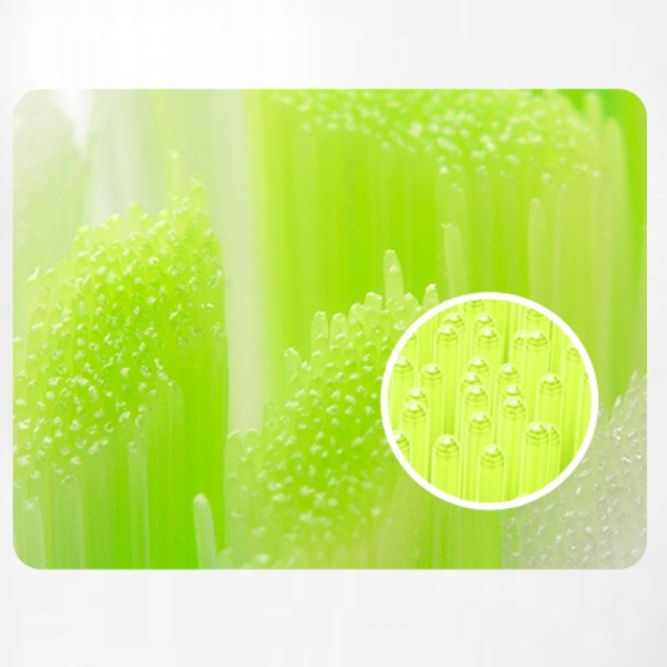 Oclean