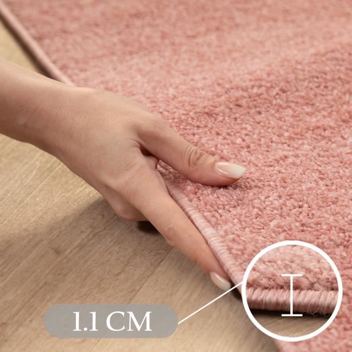 Tapis Salon Moderne - SIMPEX - Azalée - Rose - 160 x 230 cm - 100% Polypropylène