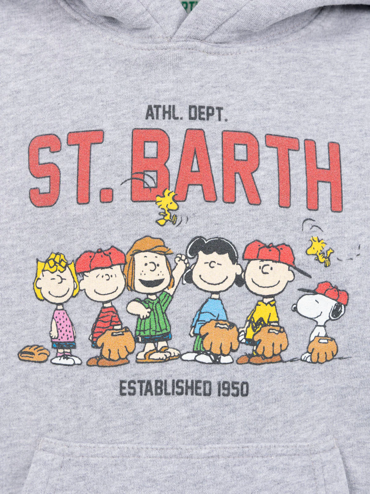 Felpa grigia da bambino Oliver con stampa Peanuts | SNOOPY PEANUTS SPE