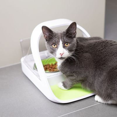 SureFeed Microchip Pet Feeder Connect