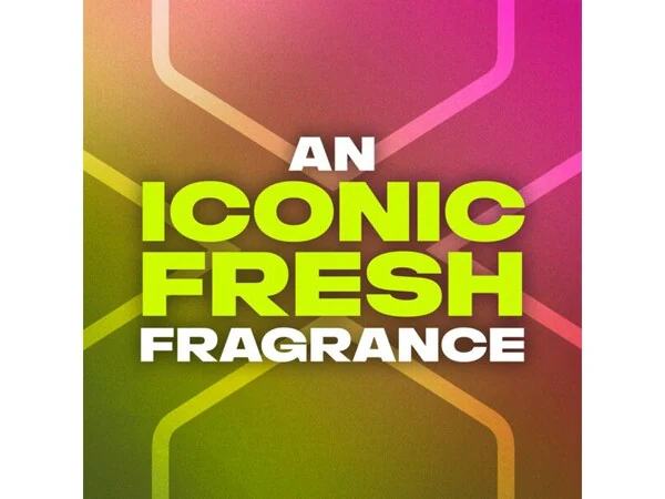 Lynx antiperspirant dezodorant roll-on Epic Fresh 50ml