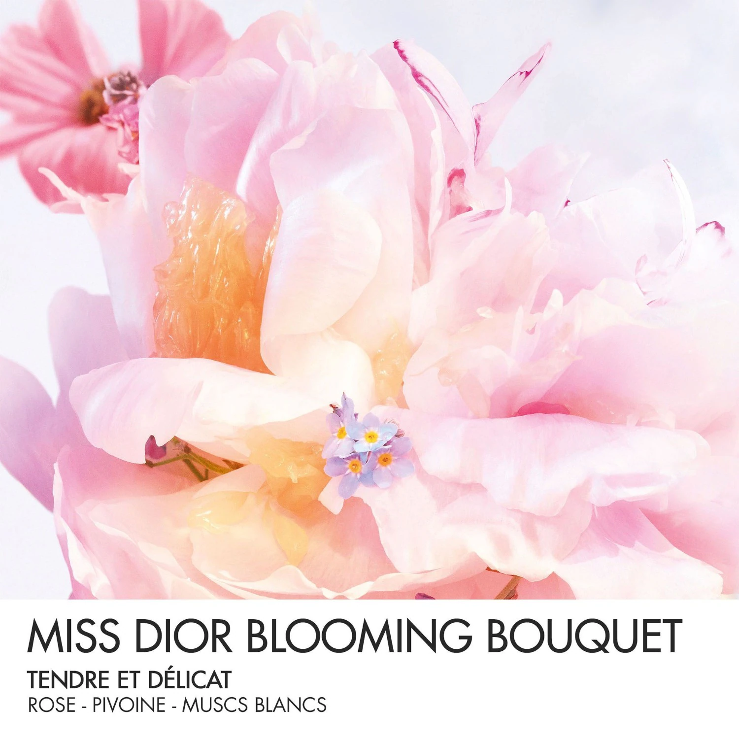 DIOR Blooming Bouquet roller-pearl - Notes fraîches et tendres