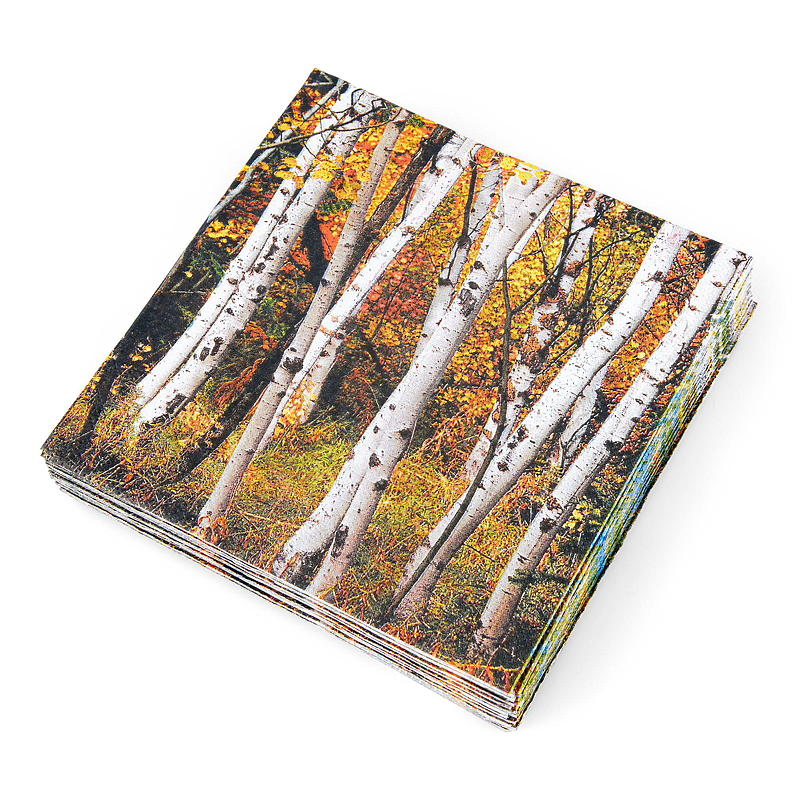 Vie Eco -lautasliinat 20 kpl 33x33 cm
