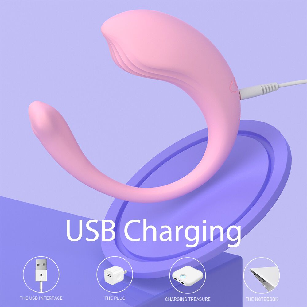S-Hande Whale Mini-RTC