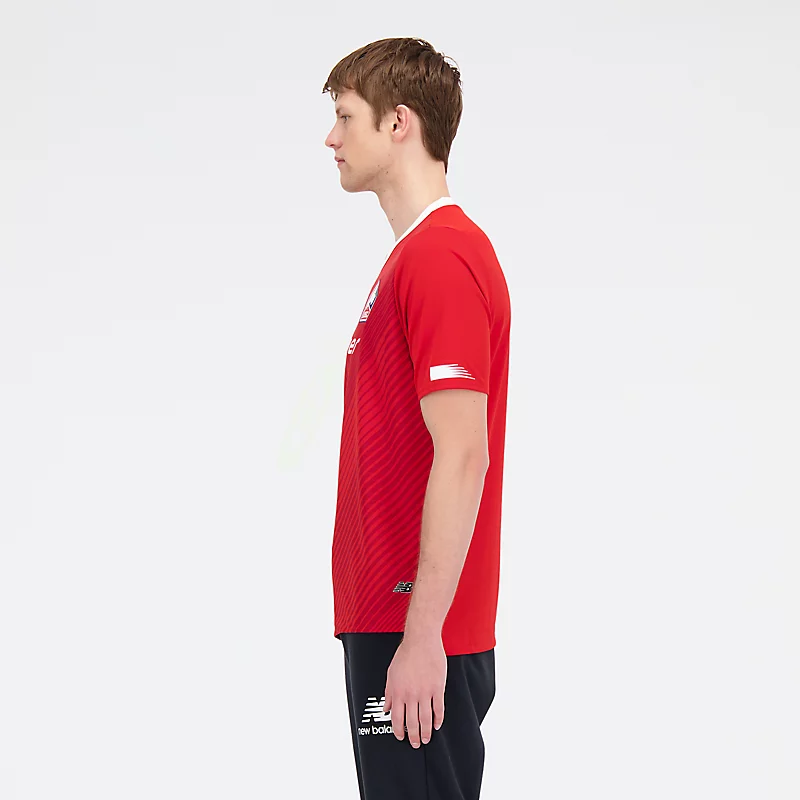 Męska koszulka z krótkim rękawem Lille LOSC Home - HOME