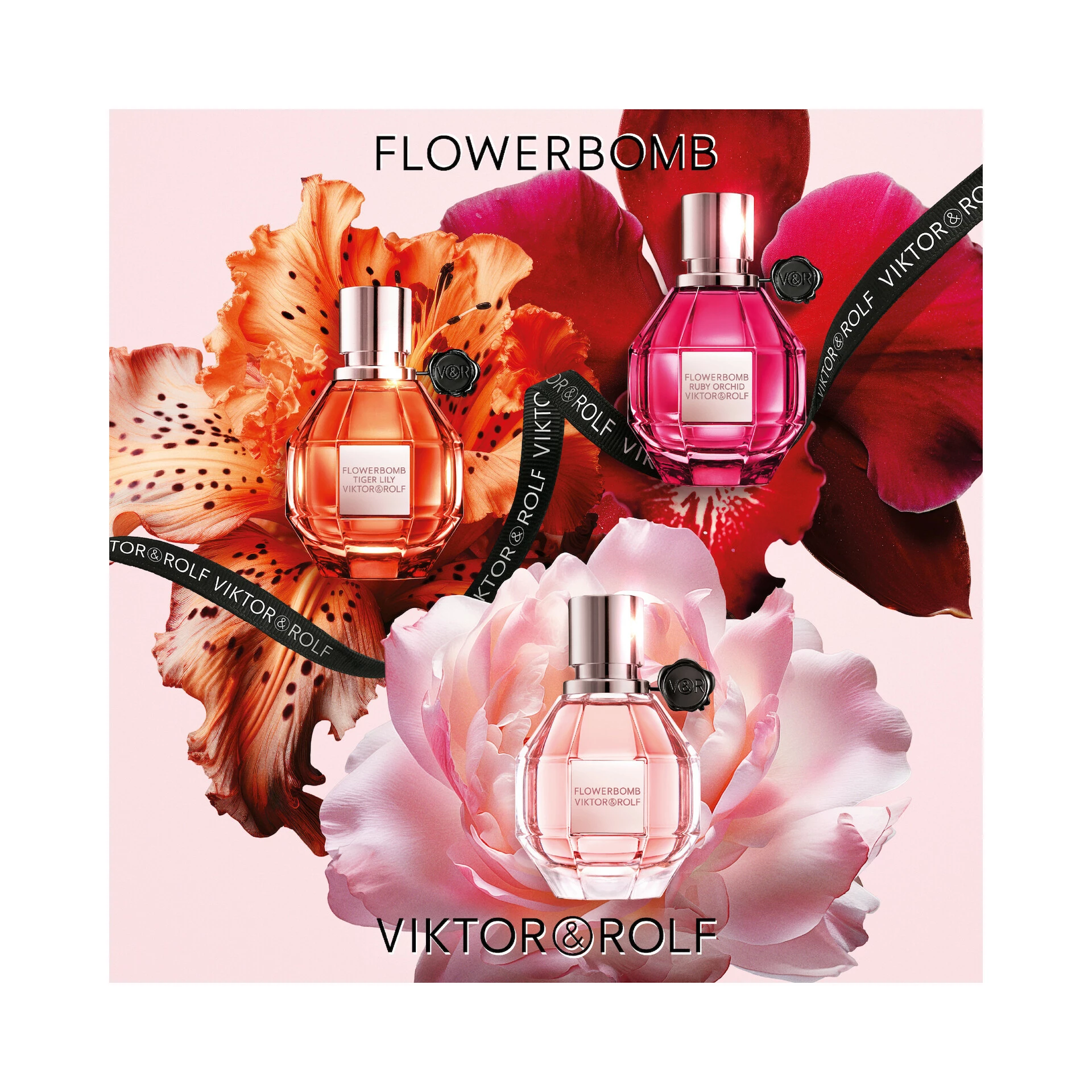 Flowerbomb Eau de Parfum 50 ml - Viktor&Rolf