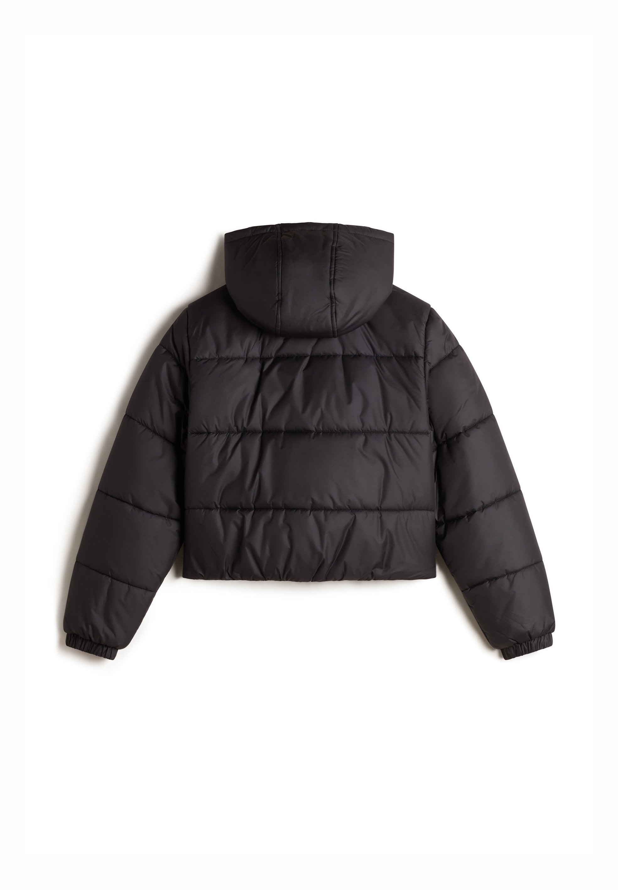 Vestes d'hiver Vans