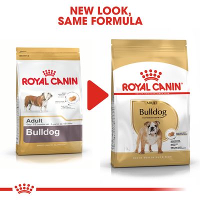Royal Canin Bulldog Adulte