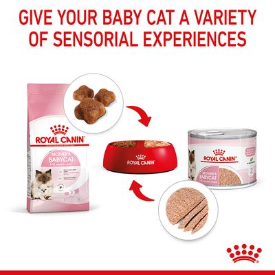 Royal Canin Mother & Babycat Ultra Soft Mousse