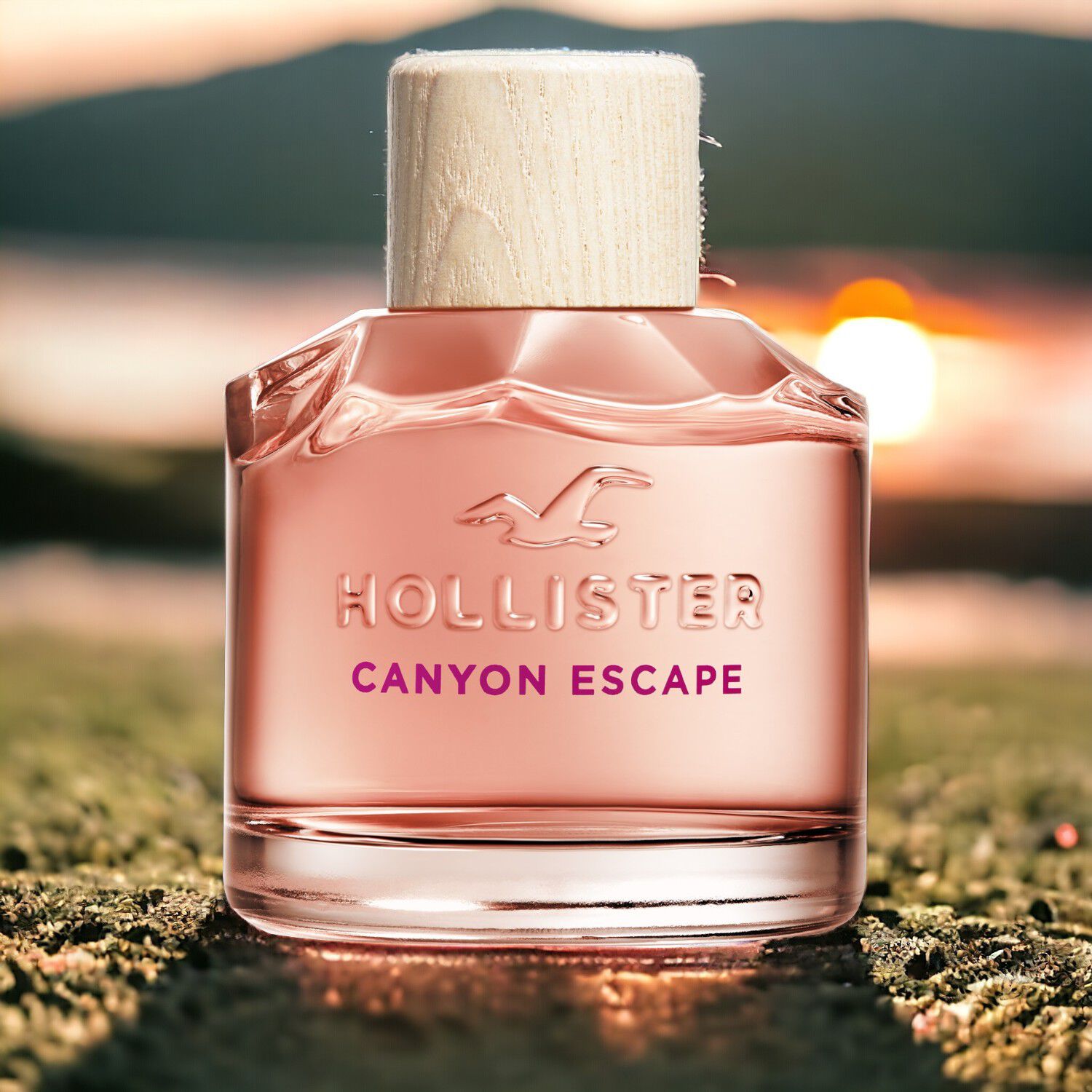 Évasion du canyon Hollister