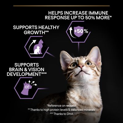 PURINA PRO PLAN Kitten Healthy Start - bogata w kurczaka