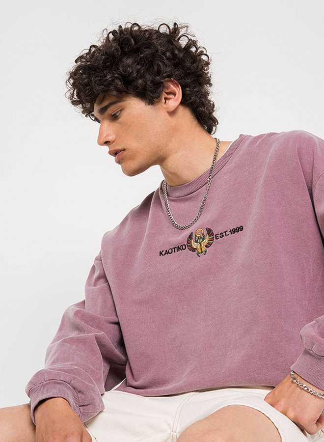Felpa Kaotiko CREW WASHED BEETLE - bordeaux