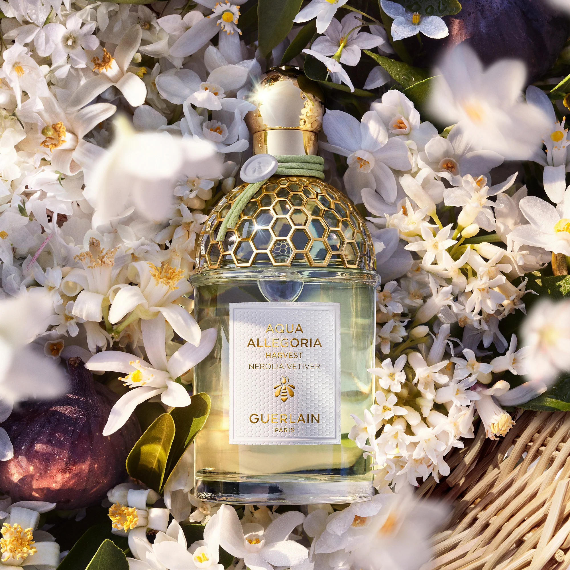 Aqua Allegoria Nerolia Vetiver Harvest - Eau de Toilette