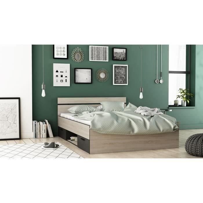 DEMEYERE Michigan Lit adulte 140x190 cm - 2 tiroirs et 1 niche - Industriel - Décor chêne brossé et noir