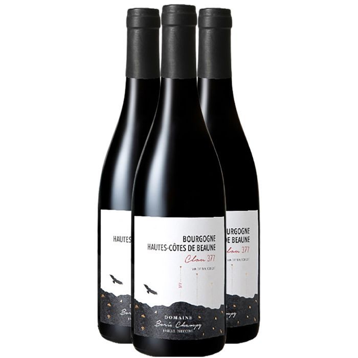Domaine Boris Champy Bourgogne Hautes Côtes de Beaune Clou 377 MAGNUM 2022 - Vin Rouge de Bourgogne (3x150cl) BIO