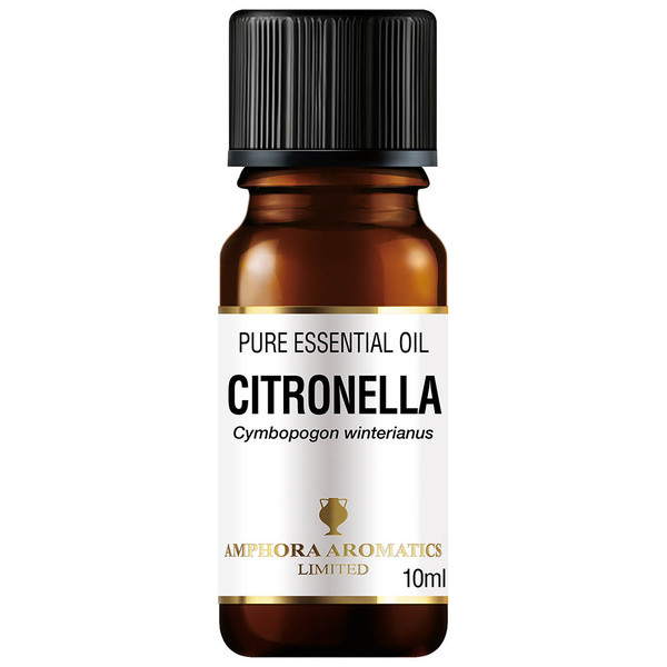 Aceite esencial de citronela Amphora Aromatics 10 ml | Salud | Superdrug