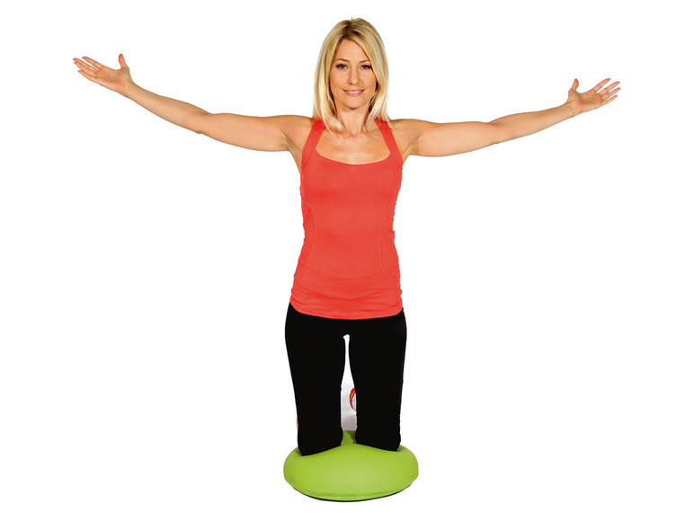 Turtle Half-Ball Dynamic
