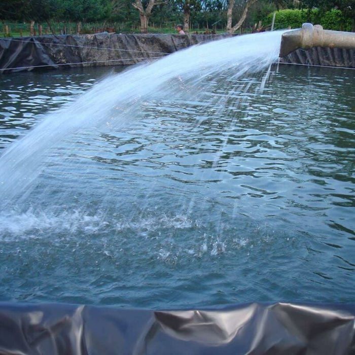 Revêtement de bassin en caoutchouc PEHD pour petits étangs, bassins à poissons, fontaines de jardin Noir 3 x 3 m