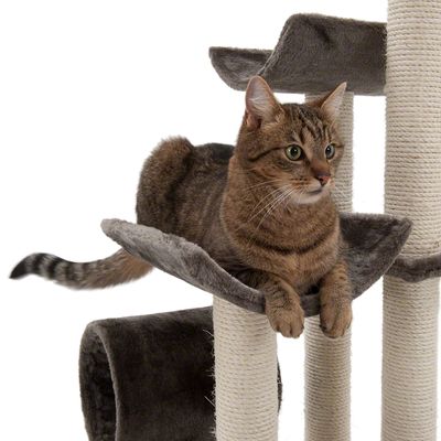 Arbre à chat Pénélope