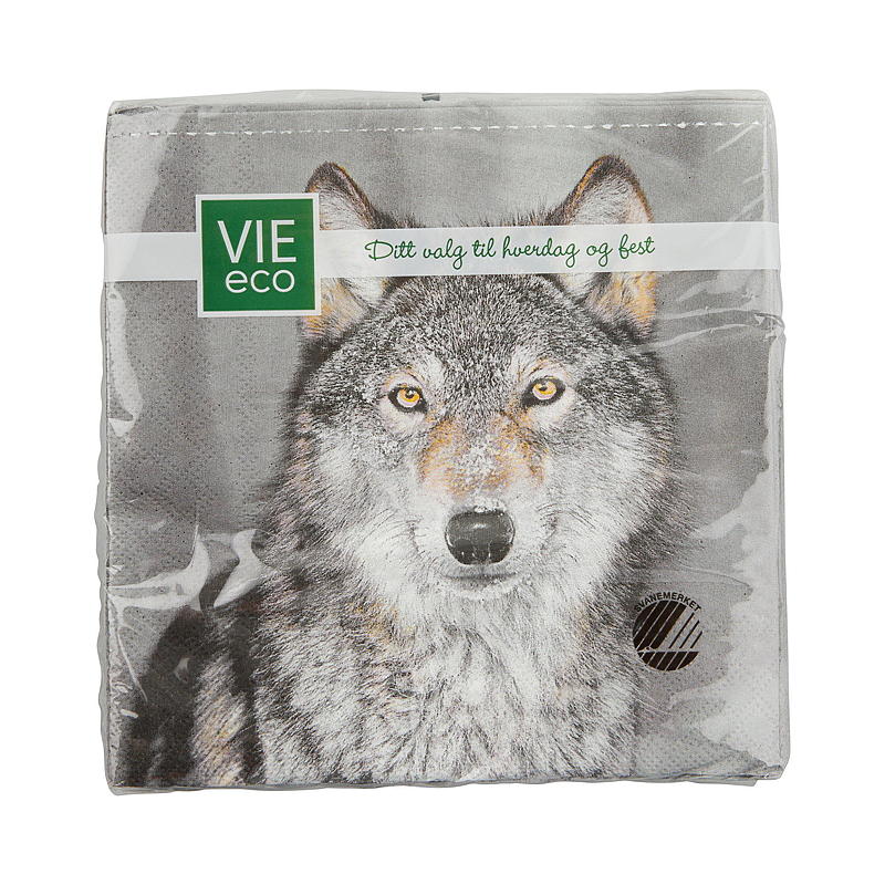 Vie Eco Servetten, 20 stuks, 33x33 cm, Herfst