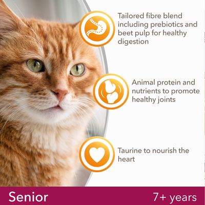 Croquettes pour chat IAMS for Vitality Senior au poulet frais