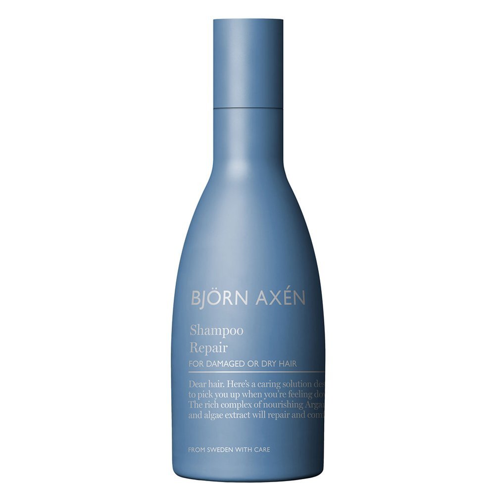 Björn Axén Repair