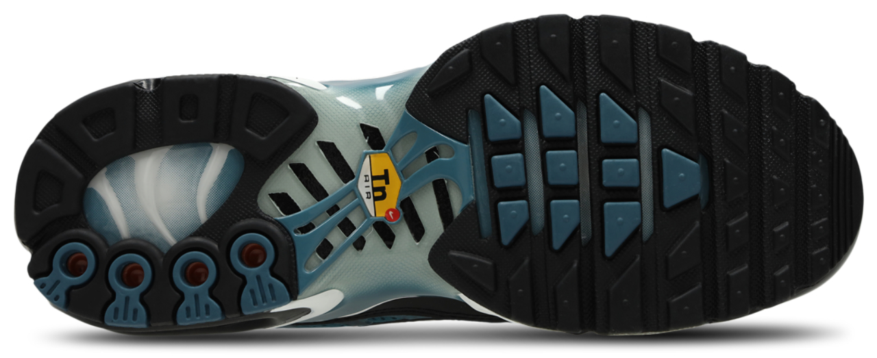 Nike Air Max Plus Fl Tuned