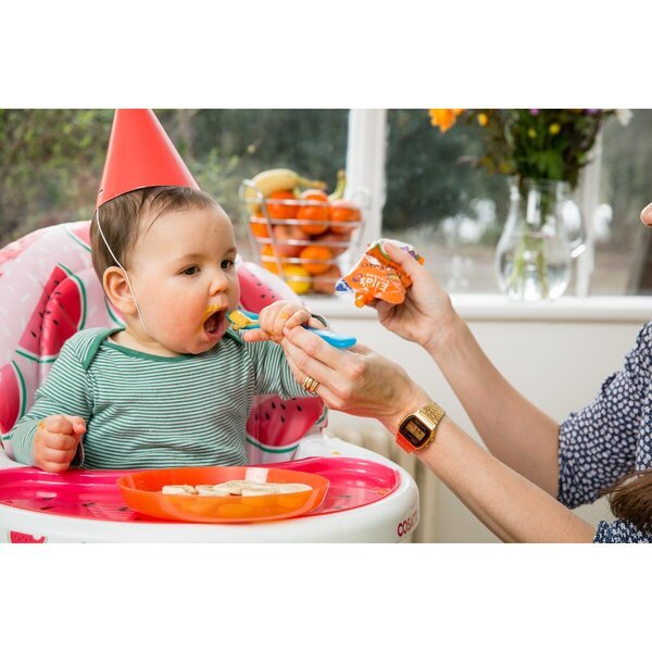 Ella's Kitchen mažyčių mangų pusryčiai<br>100g