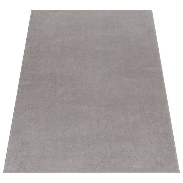 Paco Home Tapis De Salon Poils Ras Lavable Monochrome Style Moderne Gris Gris 120x170 cm
