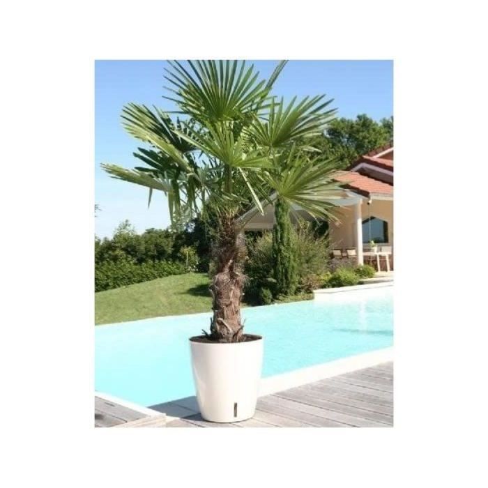 Vaso de flores redondo - RIVIERA - EVA NOVO - Plástico - D35 x A33 cm - Azul