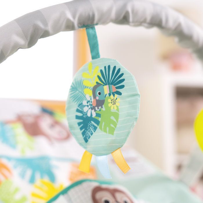 BRIGHT STARTS Wild Wonders Vibrerende Babybouncer - Afneembare Speelboog, 3-puntsgordel