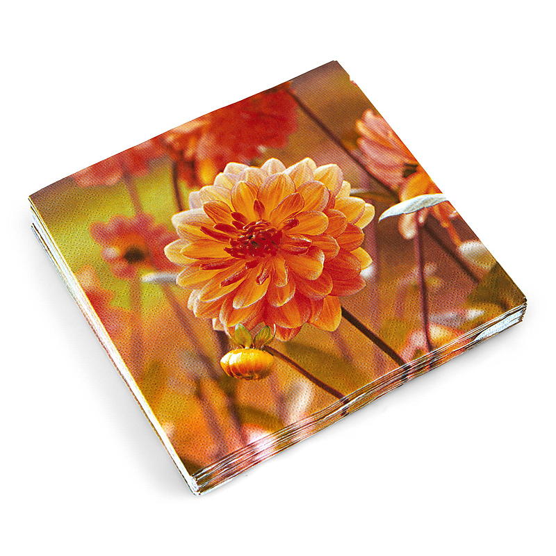 Vie Eco Servetter 20-pack 33x33 cm