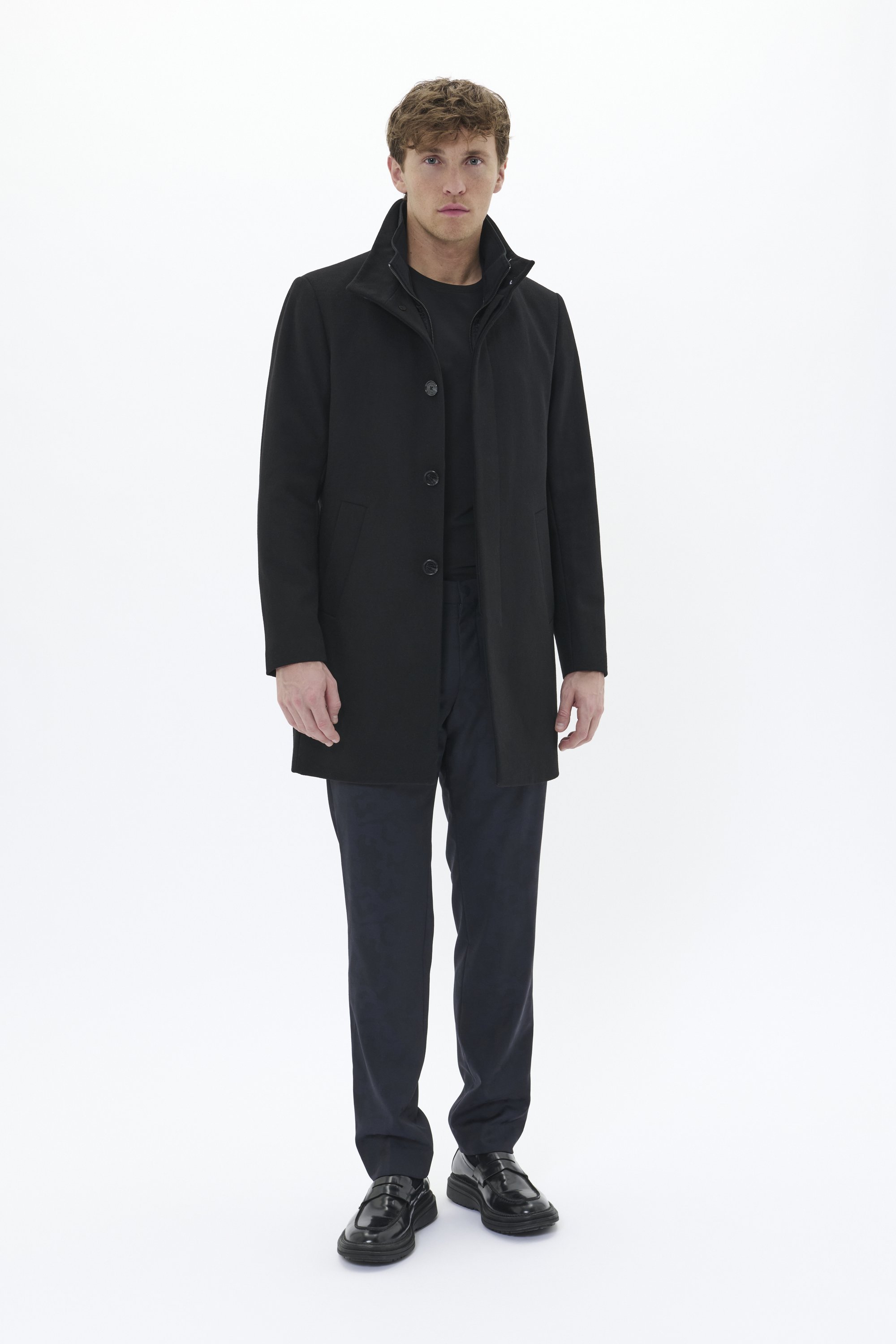 Matinique HARVEY - Poil court - noir