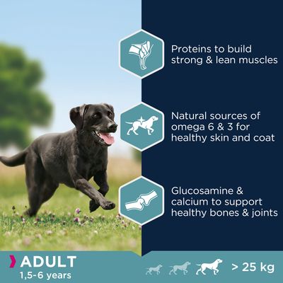 Eukanuba Volwassen Grote Ras Kip