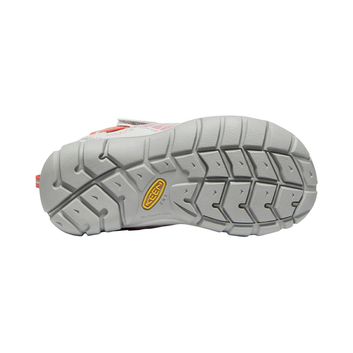 Zapatillas De Montaña  Chandler Cnx Keen