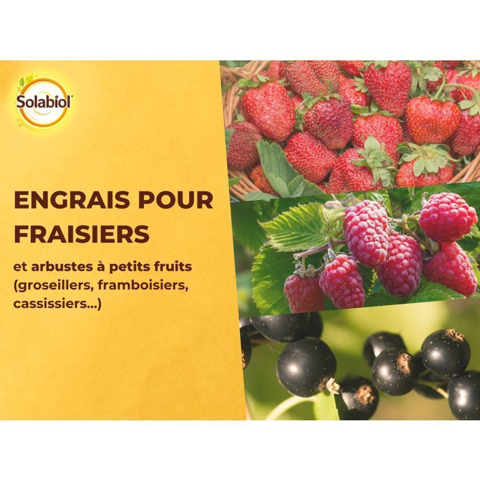 SOLABIOL Engrais fraisiers & petits fruits - 750g - Jusqu'à 15m² - Stimulateur de croissance - Nutrition longue durée