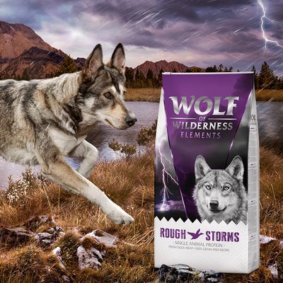 Rață Wolf of Wilderness pentru adulți „Furtuni puternice”