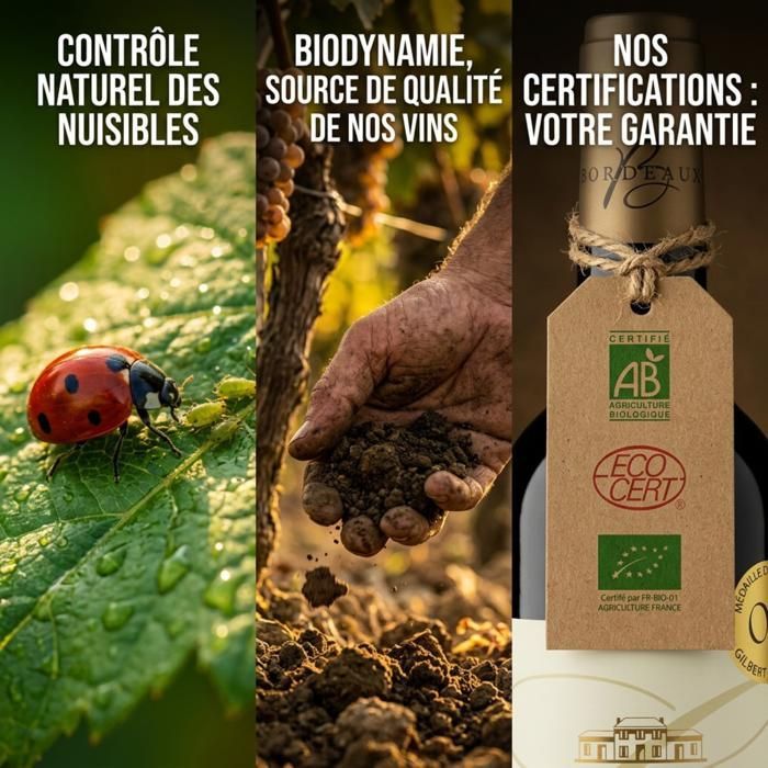 Château Chavrignac – Grand Vin Rosé de Bordeaux AOC Biologisch – Biodynamisch geteeld – Jaargang 2023 – familiedomein – fles van 75 cl