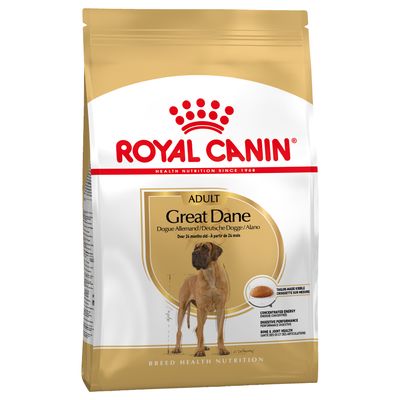 Royal Canin Deutsche Dogge Erwachsene