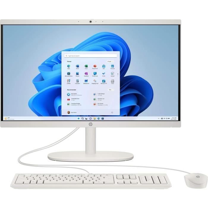 PC Tout-en-un HP 22-dg0000nf - Windows 11 - 21,5