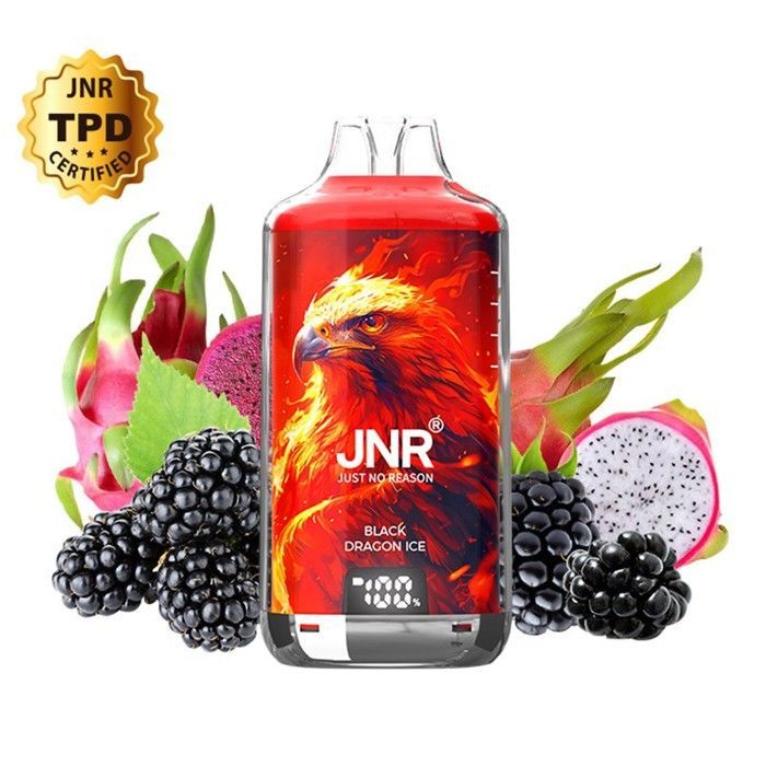 JNR - Kit Black Dragon Ice 28000 trekjes 2x10ml - Falcon-X +