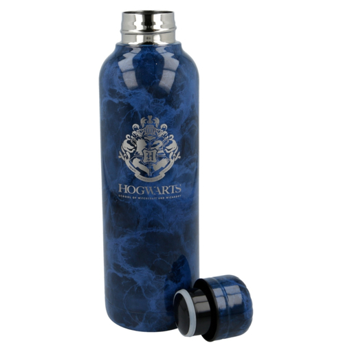 Thermos Harry Potter 62063
