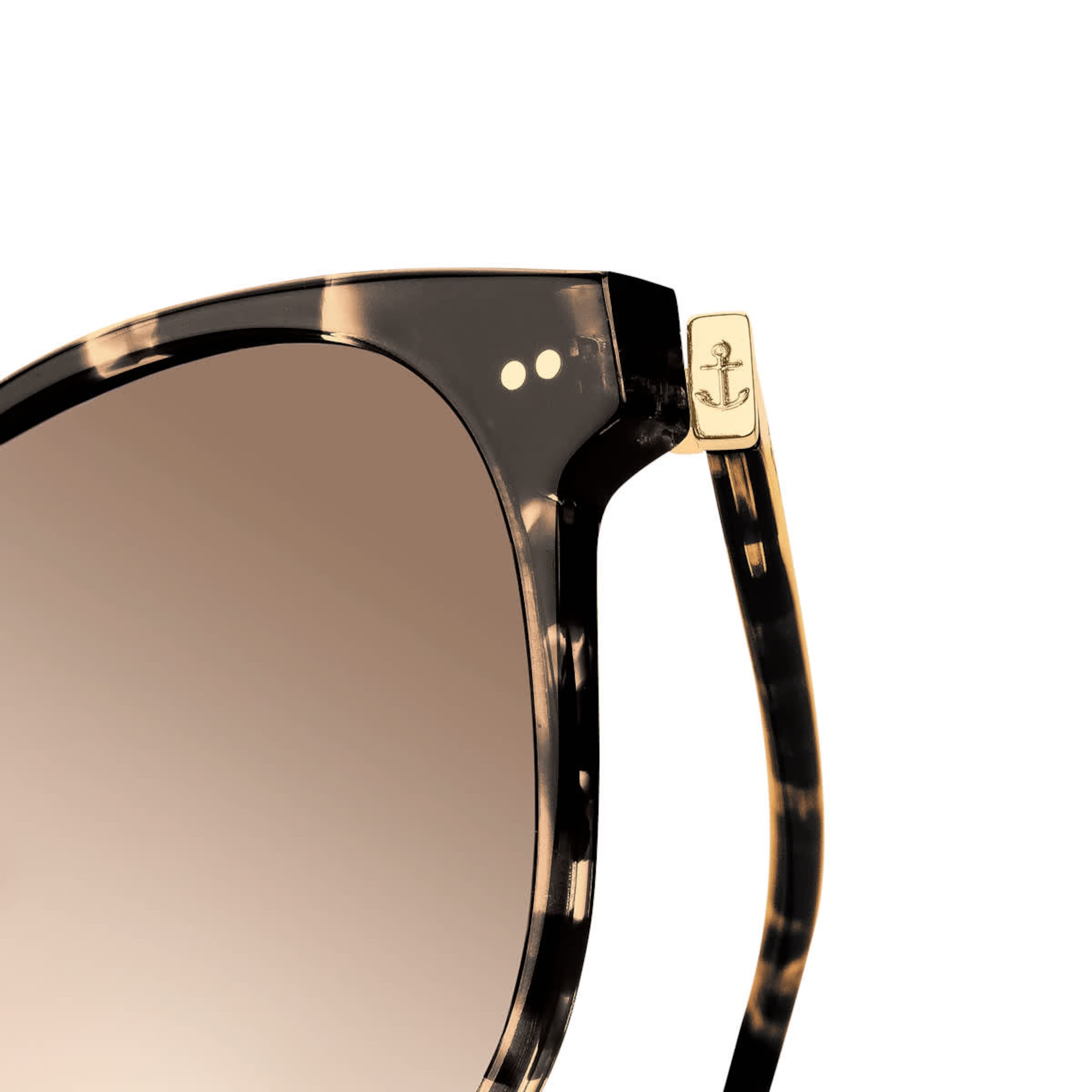 Tortue cristal Nairobi marron
