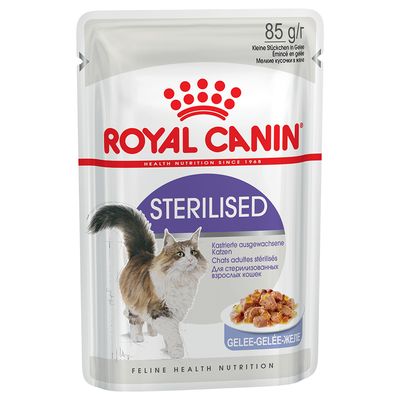 Royal Canin Adult Jelly & Gravy Mischpackung 24 x 85 g