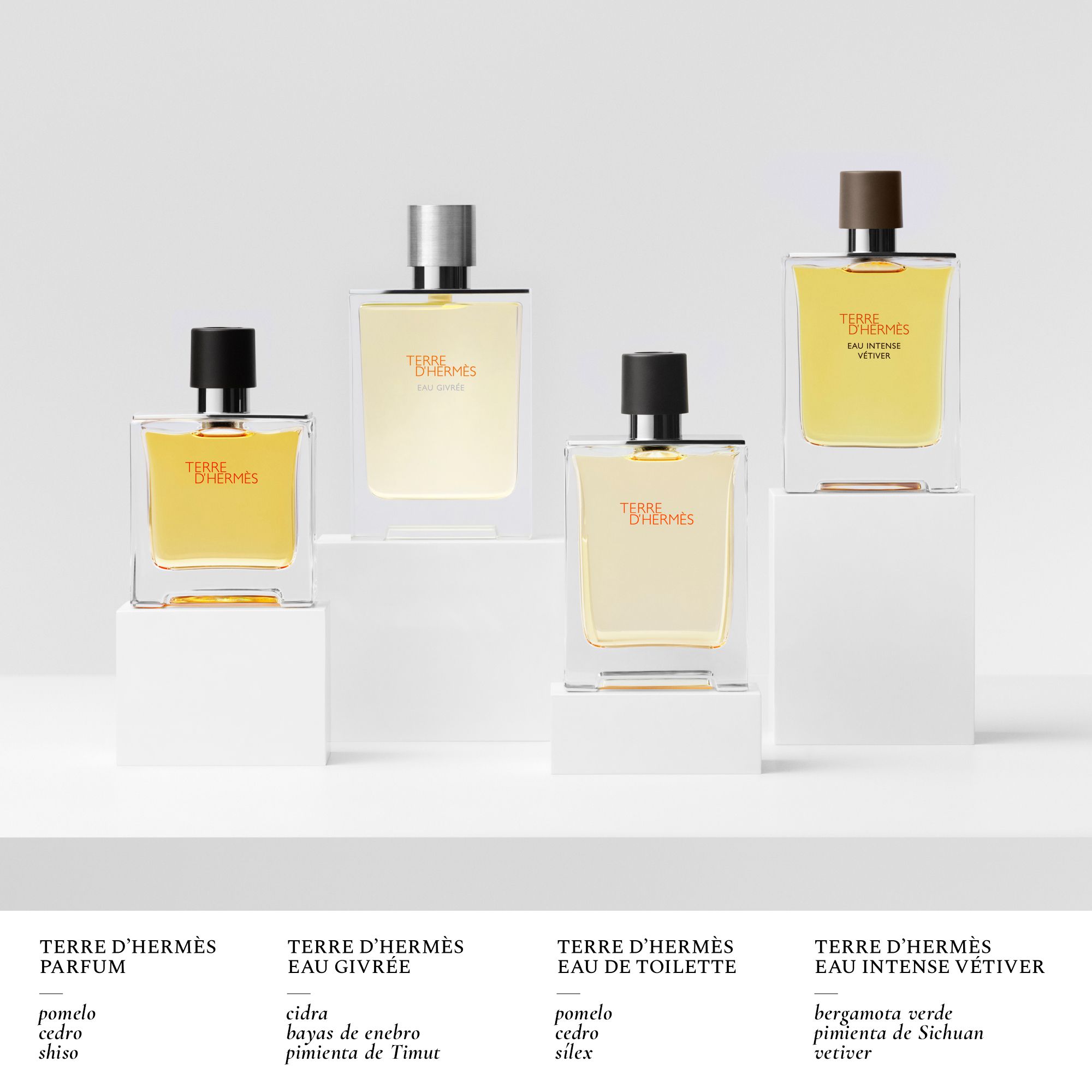 Terre d'Hermès Eau Intense Vétiver Parfemska voda Muški parfemi