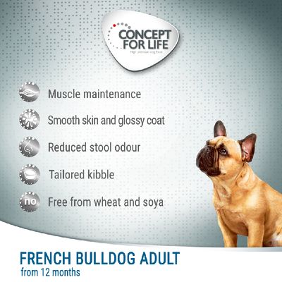 Concept for Life Französische Bulldogge (Erwachsener)